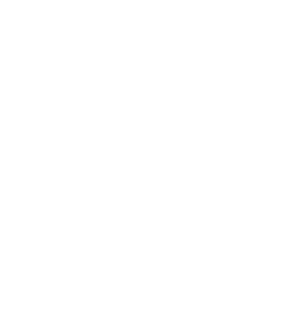 DV-tec